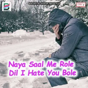 Naya Saal Me Role Dil I Hate You Bole Various Artists